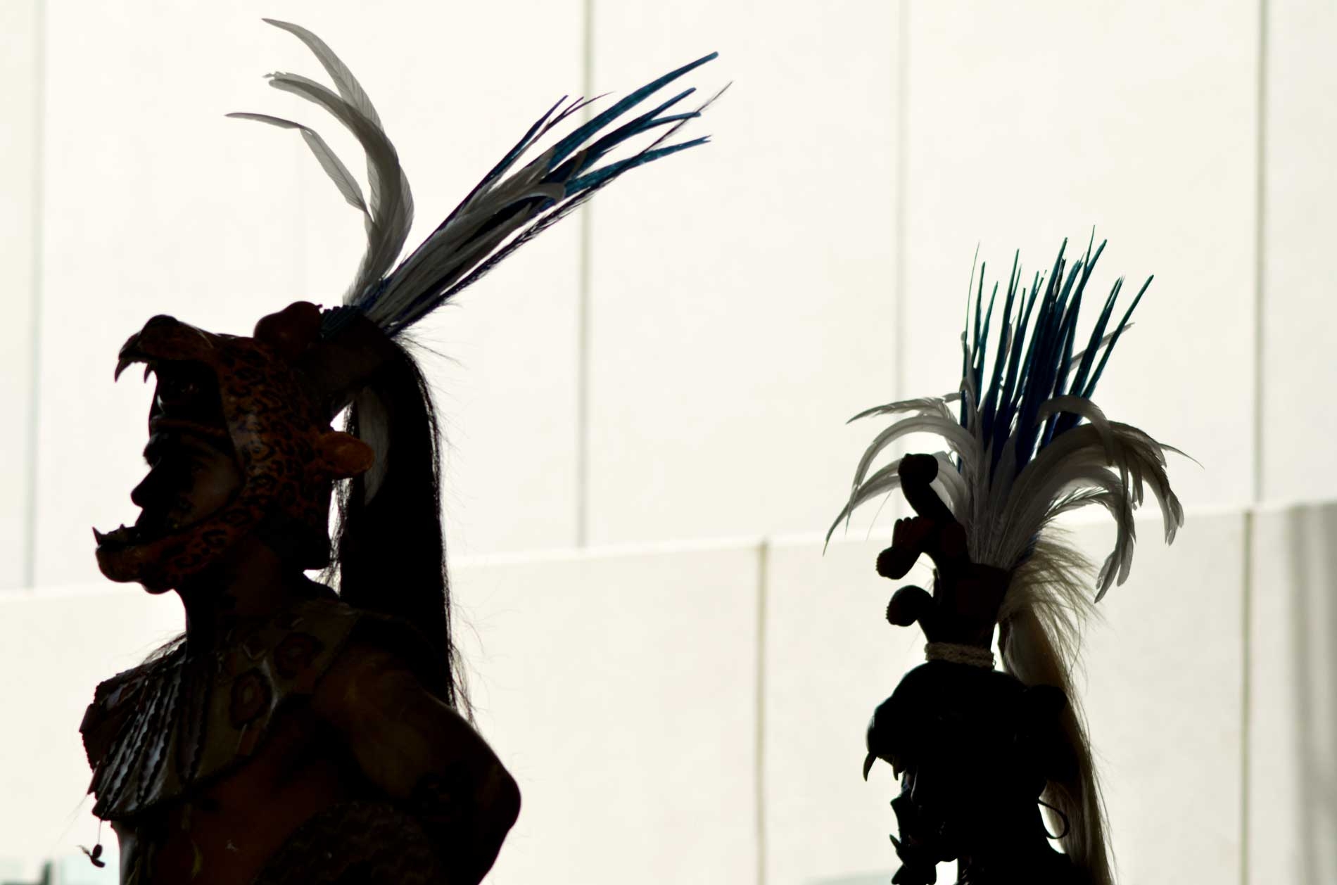 Programa del FICMaya